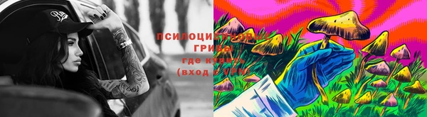 гидра Аркадак