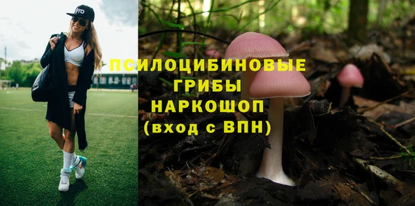 ешки Армянск
