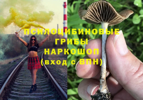 ешки Армянск